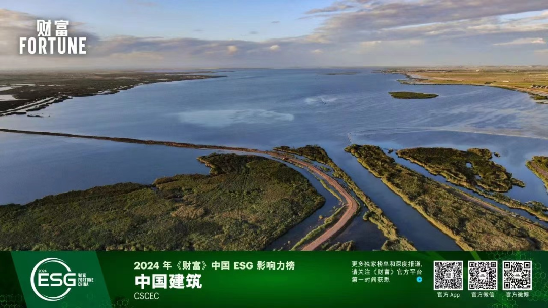 财富.png 财富.png