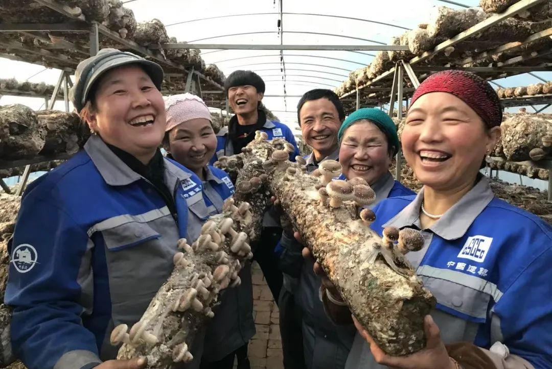 微信图片_20220705090643.jpg 微信图片_20220705090643.jpg