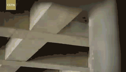 第四集777.gif
