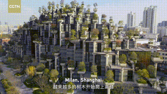 碳中和1111.gif