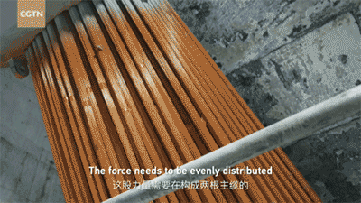 苏家坨555.gif