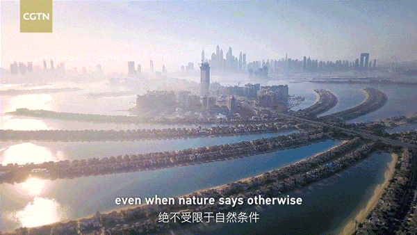 迪拜111.gif