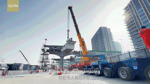 迪拜666.gif
