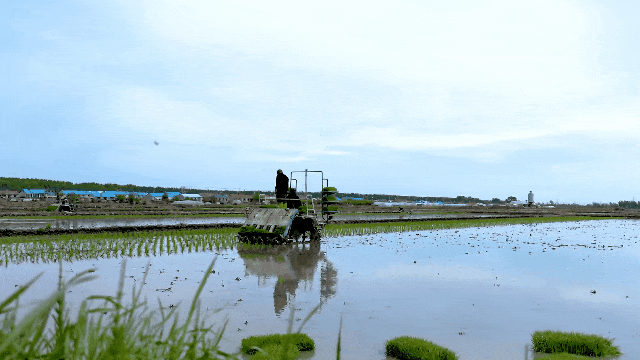 黑土777.gif 黑土777.gif