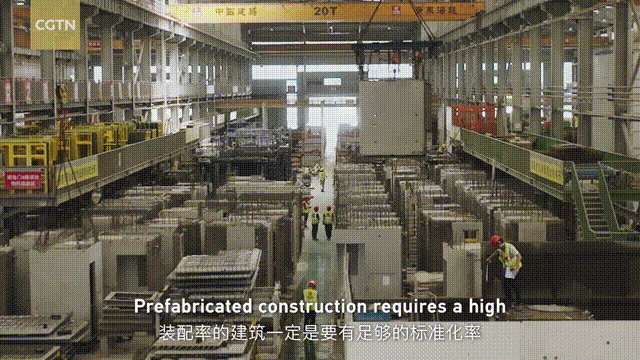碳中和333.gif
