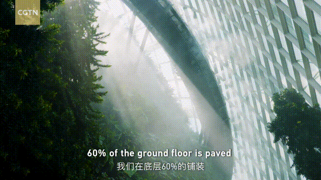 碳中和444.gif