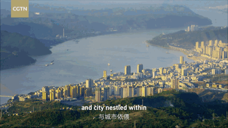 苏家坨1111.gif