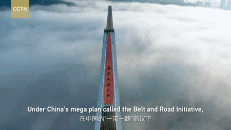 苏家坨222.gif